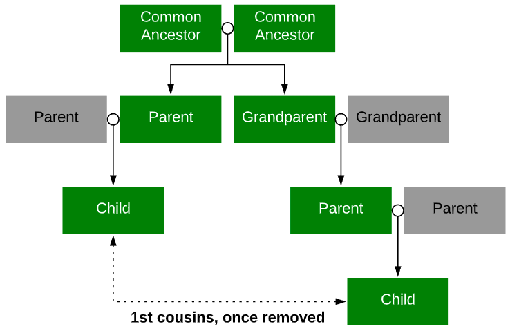 cousin-relationships-how-do-you-calculate-cousins-genealogy-explained