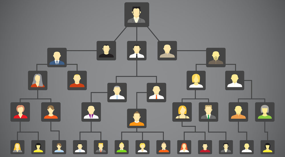 how-to-count-generations-in-a-family-tree-genealogy-explained
